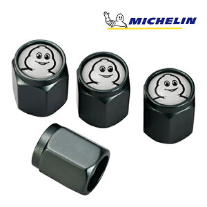 yMICHELIN KizGAouLbv 1䕪 4Zbg K^ tȒP J[pi ~V} ro_ ~VF GA[ou ėp