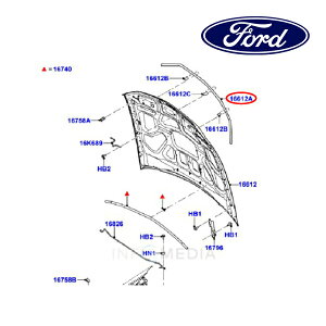 フォード純正 フードエッジベゼル FP10F16612A 10-14y マスタング