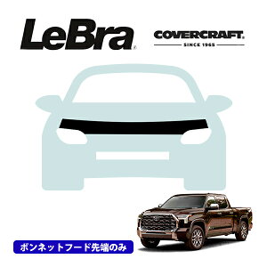 yyV}\Gg[P10{IzyCoverCraft/LeBra Kizp݌v m[Yu n[t^Cv {lbgu t[hJo[ tgJo[ tg}XN  ѐ 