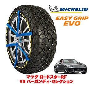 yyV}\Gg[P10{IzyMICHELIN Kiz~V Xm[`F[ C[W[Obv EVO TCY5 205/45R17 17C` Xm[\bNX ^C `F[  }c_ 