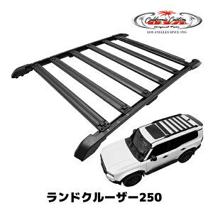 JtHjAJX^ g^ hN[U[ 250 N 250n ߘa6N4-s [vt@C [tbN [tLA [toXPbg TCY 176cm×121cm ω׏d 150kg id