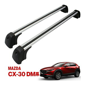 }c_ CX-30 DMn [tbN GA NXo[ 2{Zbg 1䕪 L[2{t [t[t x[XLA [to[ tbg