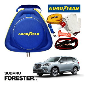 GOODYEAR ObhC[ [hTChG}[WFV[Lbg ԋً}Lbg  ԍ 펞  ̏ ~ u[X^[P[u obe[P[u 12V 24V Ή 250A 2.5m obe[