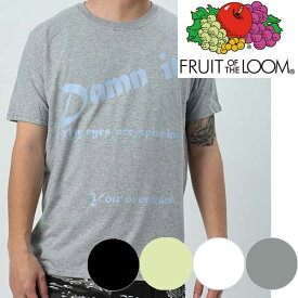 FRUIT OF THE LOOMフルーツオブザルーム tシャツ TEEシャツ プリントロゴ　メンズアメカジ カレッジプリント黒半袖TシャツDamnit