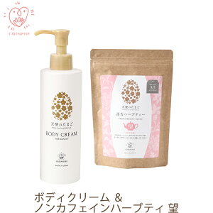 Vĝ܂ {fBN[n[ueB[Zbg ] bNX Íp  JtFCX   }} ێ }^jeB DP\h Dw YO Y DP D Xgb`}[N 