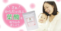 【送料無料/メール便で発送】【葉酸サプリ妊娠】キャリネスRICHFERTILITY60粒【葉酸サプリ葉酸サプリメントサプリメント妊活妊婦妊娠中妊娠初期産婦人科医が開発男性ベビー神経管閉鎖障害子宮環境つわりプレゼントグッズ】妊活中〜妊娠12週まで