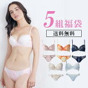 1組あたり796円 福袋 5組 ブラジャー ショーツ セット レディース 下着 ブラショーツ ノンワイヤーブラセット チューブブラセットが含まれる場合あり 女性 ブラショーツセット ブラ・ショーツ ブラ 大きいサイズ グラマー Eカップ Fカップ 送料無料