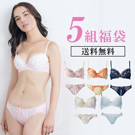 1組あたり796円 福袋 5組 ブラジャー ショーツ セット レディース 下着 ブラショーツ ノンワイヤーブラセット チューブブラセット・Tバックが含まれる場合あり 女性 ブラショーツセット ブラ・ショーツ ブラ 大きいサイズ グラマー Eカップ Fカップ 送料無料