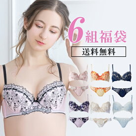 【1月16日1:59まで】1組当たり663円 2026 福袋5組＋1組 おまけ ブラジャー ショーツ ノンワイヤーブラ・チューブブラ・Tバックが含む場合あり セット レディース 下着 送料無料