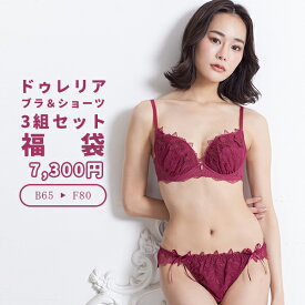 【今だけ4980円】3組セット セクシー エロかわ エレガント ドゥレリア 福袋 ブラジャー ショーツ セット レディース 下着 B〜F ブラショーツ 上下セット 女性 ブラショーツセット ブラ・ショーツ ブラ 大きいサイズ グラマー Eカップ Fカップ 送料無料