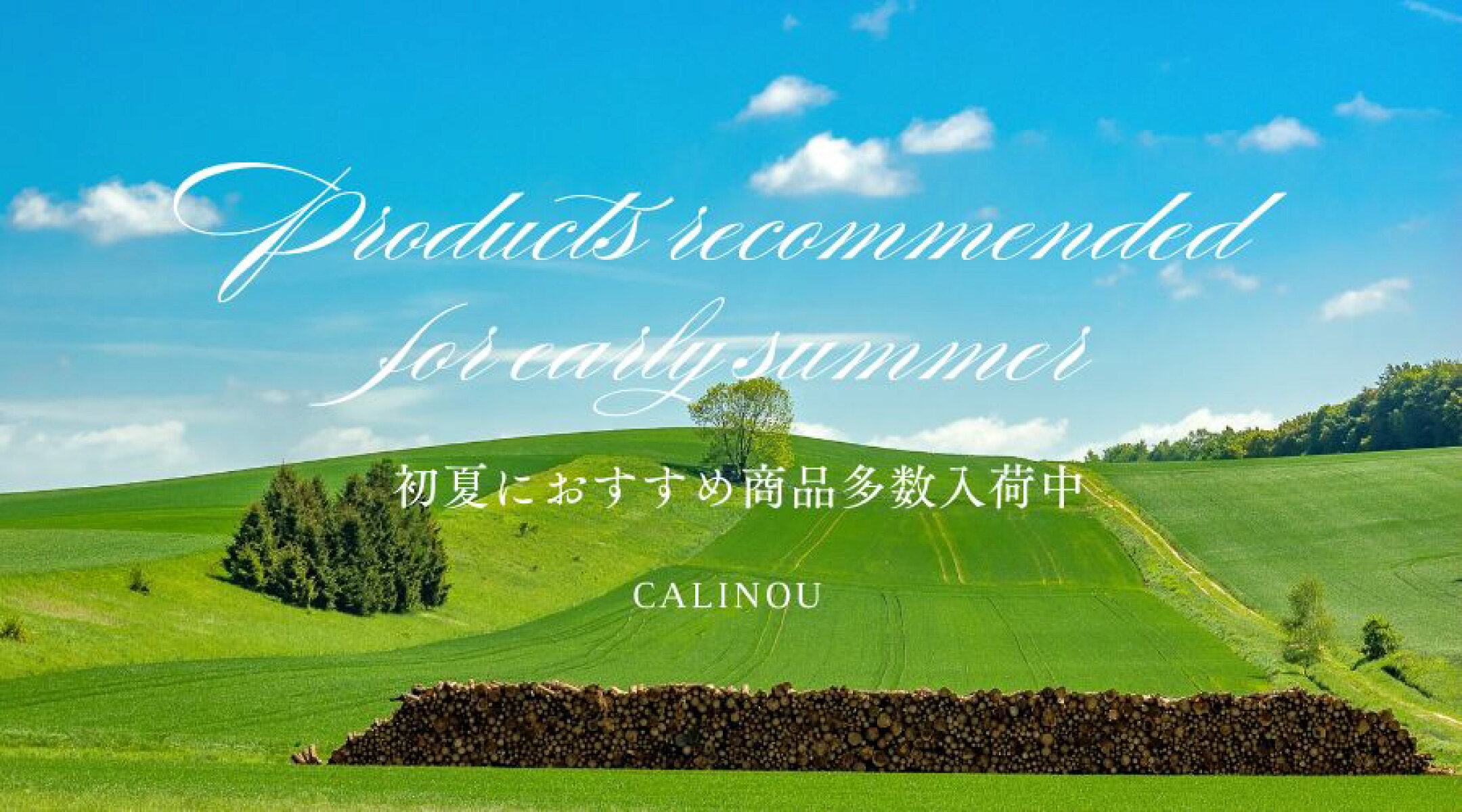 お出かけが楽しい季節！おすすめのアイテム集めました♪