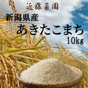 yߘa7Nxz܂ V V 10Kg VY 2025     Pꌴ uh Y Y