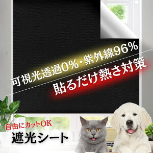 y[z΍  ՌV[g z ߗ0 OJbg96 ܂ KX  ҏ΍ GARAbv ډB SՌ100% }WbNe[v 悯V[g ՔM UVJb