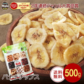 バナナチップス 500g ココナッツオイル使用 フィリピン産地直輸入 食塩不使用 保存料不使用 ドライバナナ ドライフルーツ グラノーラ パン作り おやつ おつまみ 防災食品 非常食 保存食 備蓄食 常備食