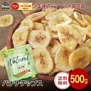 バナナチップス 500g ココナッツオイル使用 フィリピン産地直輸入 食塩不使用 保存料不使用 ドライバナナ ドライフルーツ グラノーラ パン作り おやつ おつまみ 防災食品 非常食 保存食 備蓄食 常備食