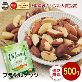 生ブラジルナッツ 500g アマゾンの恵み 産地直輸入 食塩不使用 添加物不使用 防災食品 おやつ おつまみ 非常食 常備食