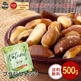 生ブラジルナッツ 500g アマゾンのスーパーナッツ 産地直輸入 海外では有名な栄養価の高いナッツ 便利なチャク付き袋 追跡可能 工場直販 非常食 常備食 無塩 添加物不使用 植物油不使用
