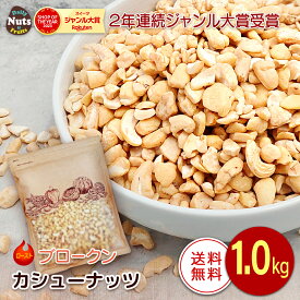 ブロークンローストカシューナッツ 1kg 制菓子 LP 素焼きカシューナッツ 大袋 無塩 添加物不使用 植物油不使用 お菓子作り 製パン 専用アルミチャック付き袋