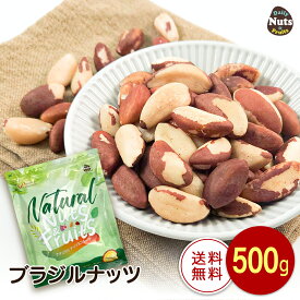 生ブラジルナッツ 500g アマゾンの恵み 産地直輸入 食塩不使用 添加物不使用 おやつ おつまみ 常備食