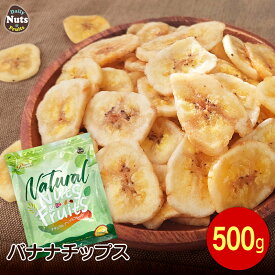バナナチップス 500g ココナッツオイル使用 フィリピン産地直輸入 食塩不使用 保存料不使用 ドライバナナ ドライフルーツ グラノーラ チャック付き袋