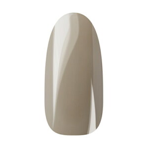 Ann Professional �A���v���t�F�b�V���i�� �J���[�W�F�� 009 ���J�x�[�W�� �y�l�C�� �W�F���l�C�� �J���[�W�F���z