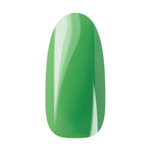 Ann Professional �A���v���t�F�b�V���i�� �J���[�W�F�� 075 �l�I���O���[�� �y�l�C�� �W�F���l�C�� �J���[�W�F���z
