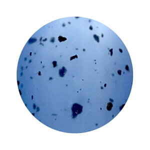 ICE GEL ACXWF A BLACK _VAWF 1177 pXeu[ 3g ylC WFlC J[WFzyartqE_z