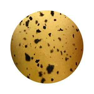 ICE GEL ACXWF A BLACK _VAWF 1178 S[fbh 3g ylC WFlC J[WFzyartqE_z