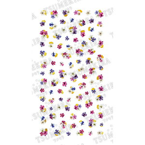 TSUMEKIRA cL ynoblezhCt[Ƌ1 NO-DFG-101(WFp) yzylC lCV[ lCXebJ[z