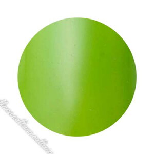 Dna Gel(fB[iWF) J[WF MG02 [t 2.5gylC WFlC J[WFz