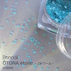 Bonnail �{���l�C�� OTONA etoile(�I�g�i �G�g���[��) ciel(�V�G��) 1g�y�u���[ �l�I���J���[ �z���l�C�� �������܃l�C�� �X�^�[�l�C���z