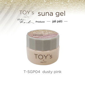 TOY's × INITY gCYoCACjeB XiWF WyeB _XeB[sN T-SGP04 5gyWFlC J[WF ΍plC WF zCbv ACVO mCv sNz