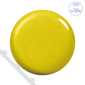 para gel pWF J[WF P020 nj[}X^[h 4g ylC WFlCz