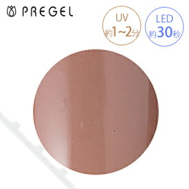 PREGEL プリジェル カラーEX スモーキーベージュR PG-CE880 3g 【ネイル カラー ジェルネイル アート】