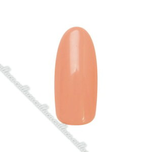 para gel pWF fUCi[YJ[WF DN01 nCAzf[ ylC p[c WFlCz