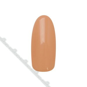 para gel pWF fUCi[YJ[WF DN02 u}}x[W ylC p[c WFlCz