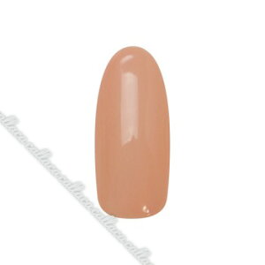 para gel pWF fUCi[YJ[WF DN03 TZbgx[W ylC p[c WFlCz