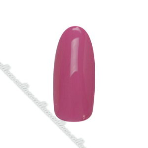 para gel pWF fUCi[YJ[WF DP01 v|[YsN ylC p[c WFlCz