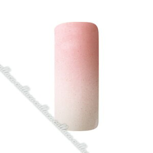 [񂹕i]AIRTEX GAWF Lbh 62I[h[Y 15ml ylC p[c WFlCz