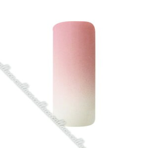 AIRTEX GAWF Lbh 74k[fBsN 15ml ylC p[c WFlCz