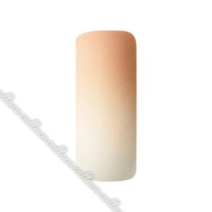 [񂹕i]AIRTEX GAWF Lbh 34~L[sN 15ml ylC p[c WFlCz