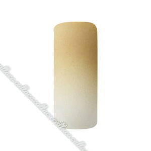 [񂹕i]AIRTEX GAWF Lbh 73lCvXfB[v 15ml ylC p[c WFlCz