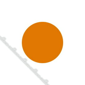 Fleurir フルーリア カラーパウダー OR-M オレンジ 4g 【ネイル パーツ ジェルネイル】