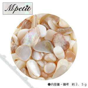 Mpetit GveB i`Xg[(NAP[X) B216 TS~bNXB ylC p[c WFlCz