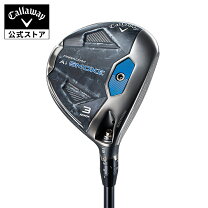 楽天市場】パラダイム MAX FAST ドライバーの通販