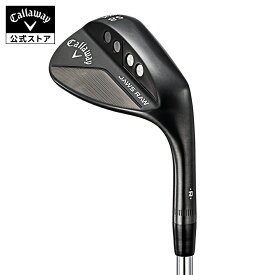【店内全品ポイント10倍】【公式】キャロウェイ ゴルフ JAWS RAW ジョーズ ロウ ウェッジ ブラック/ Daynamic Gold S200 | メンズ ゴルフクラブ 右用 bfs20
