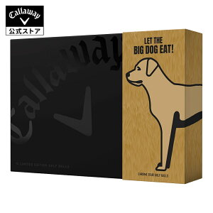 y10/31PRICE DOWNzyzLEFC St CHROME TOUR BIG DOG{[iuh[go[j 1031co