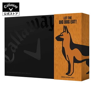 yXSi|Cg10{zyzLEFC St CHROME TOUR BIG DOG{[iVFp[hj