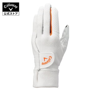 yzLEFC St nCp[ q[g O[u FW 25 JM (p)