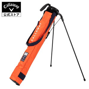 y11/21PRICE DOWNzyzLEFC St AhoX X^h NuP[X 25 JM